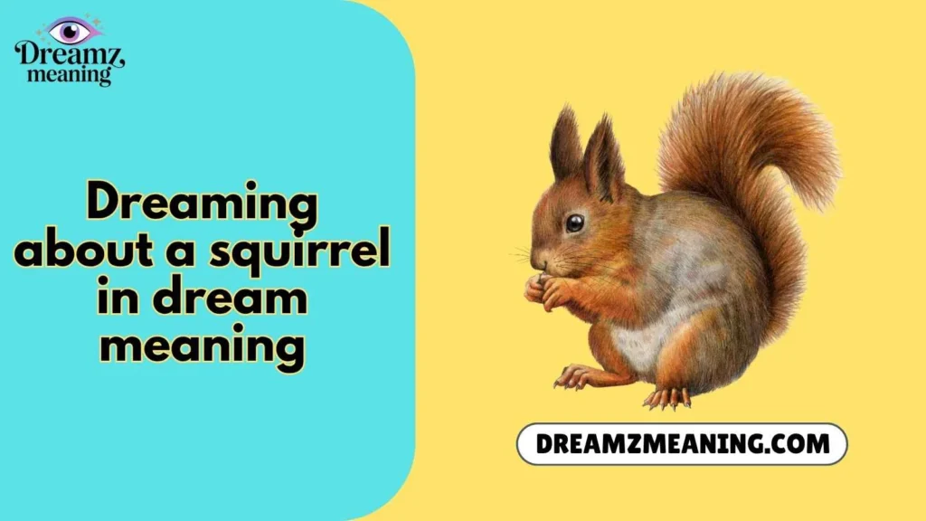 dreaming about a squirrel in dream meaning