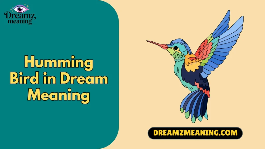 Humming Bird in Dream Meaning