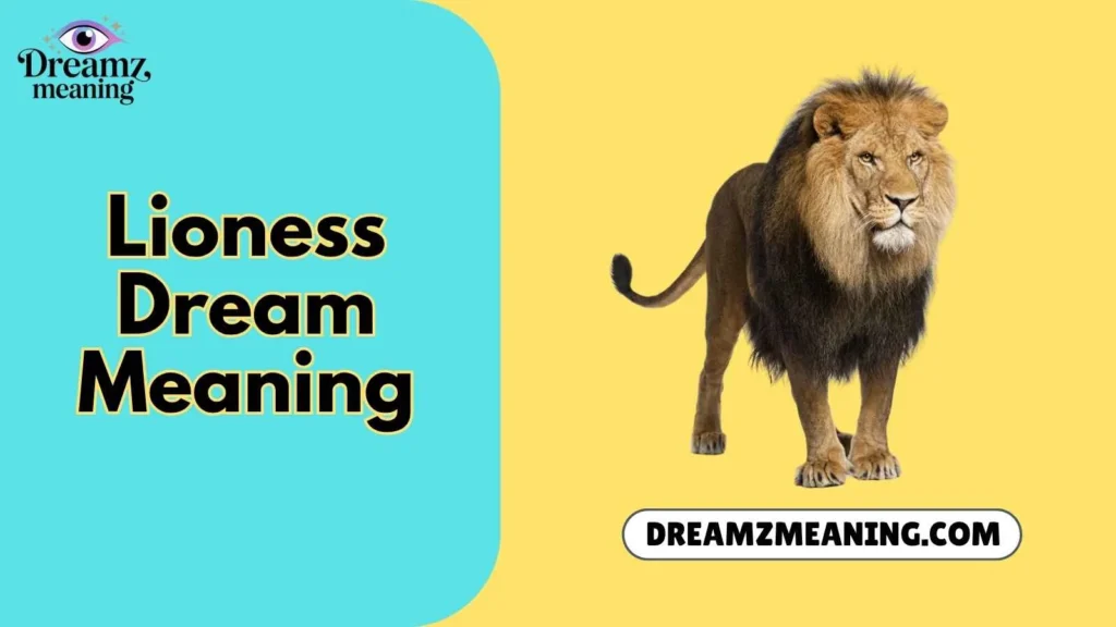 Lioness Dream Meaning