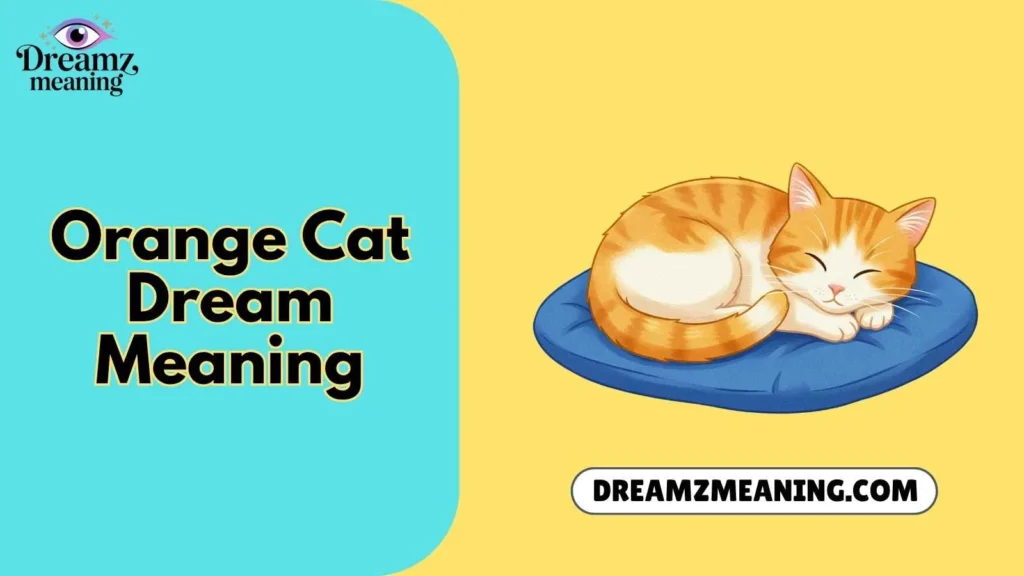 Orange Cat Dream Meaning