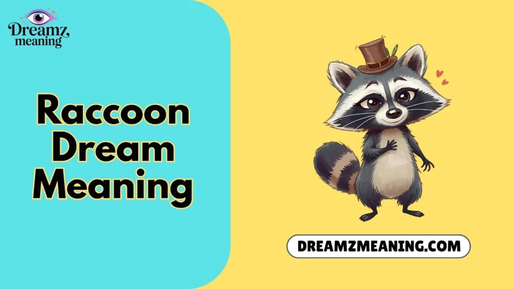Raccoon Dream Meaning