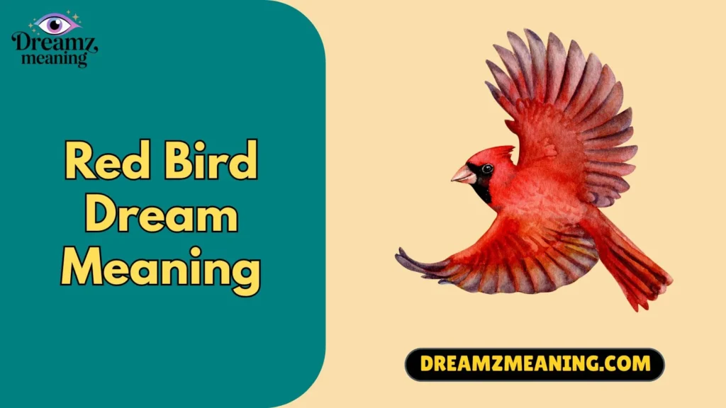 Red Bird Dream Meaning