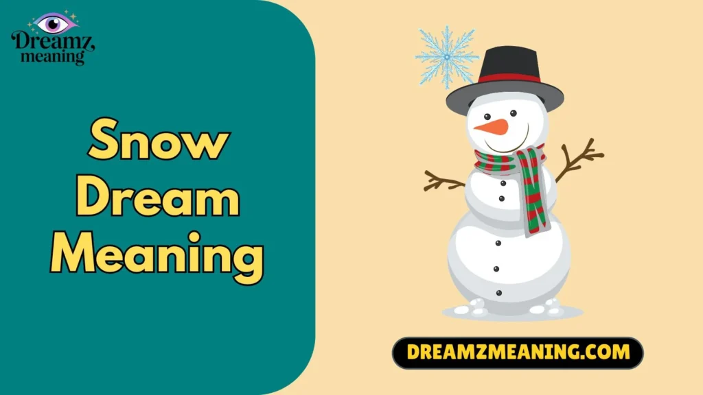 Snow Dream Meaning