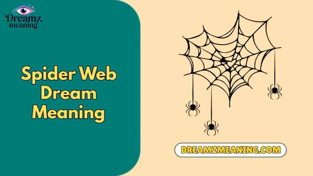 Spider Web Dream Meaning