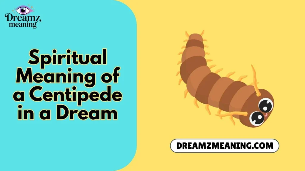Spiritual Meaning of a Centipede in a Dream