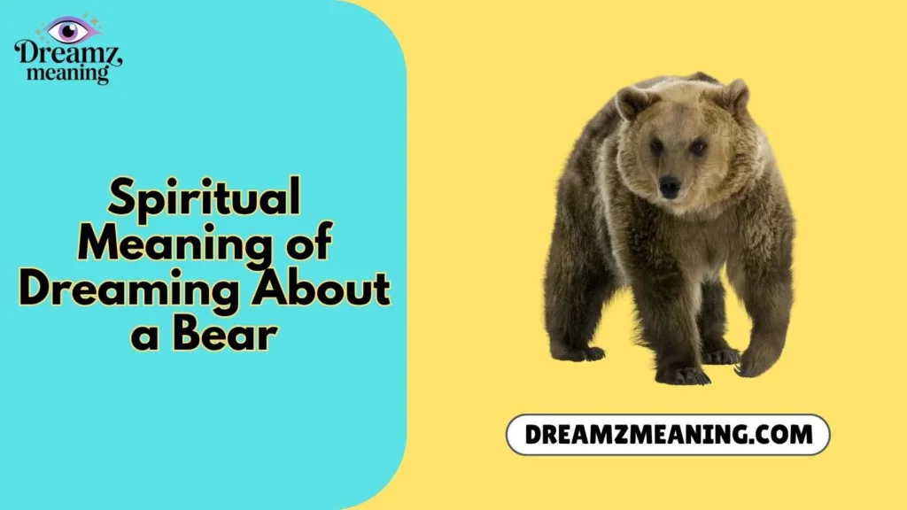 Spiritual Meaning of Dreaming About a Bear