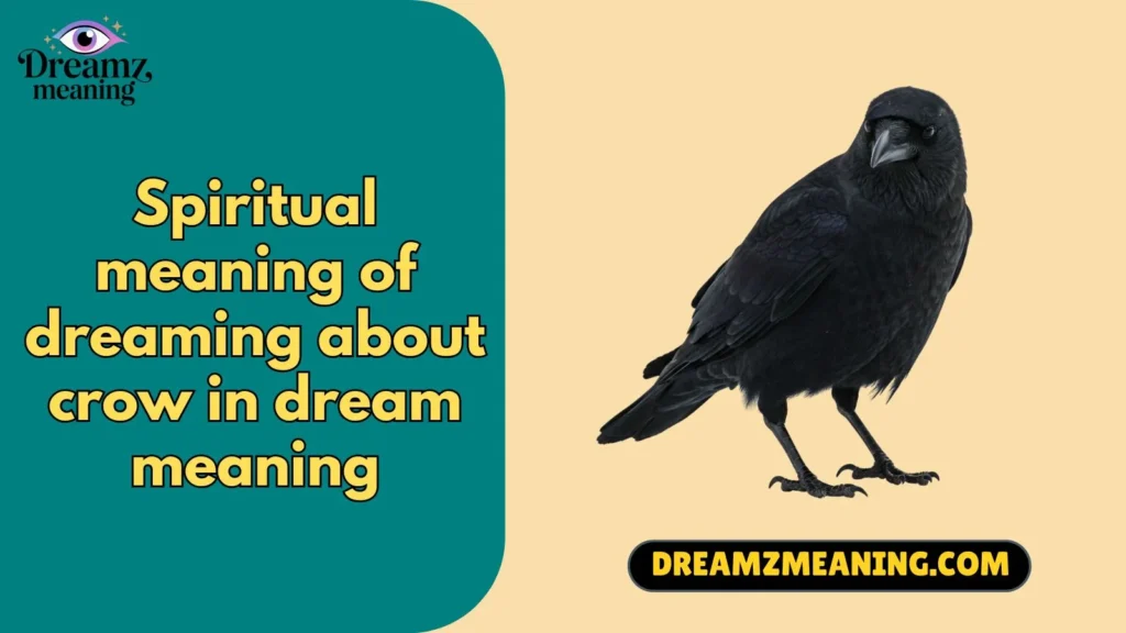 spiritual meaning of dreaming about crow in dream meaning