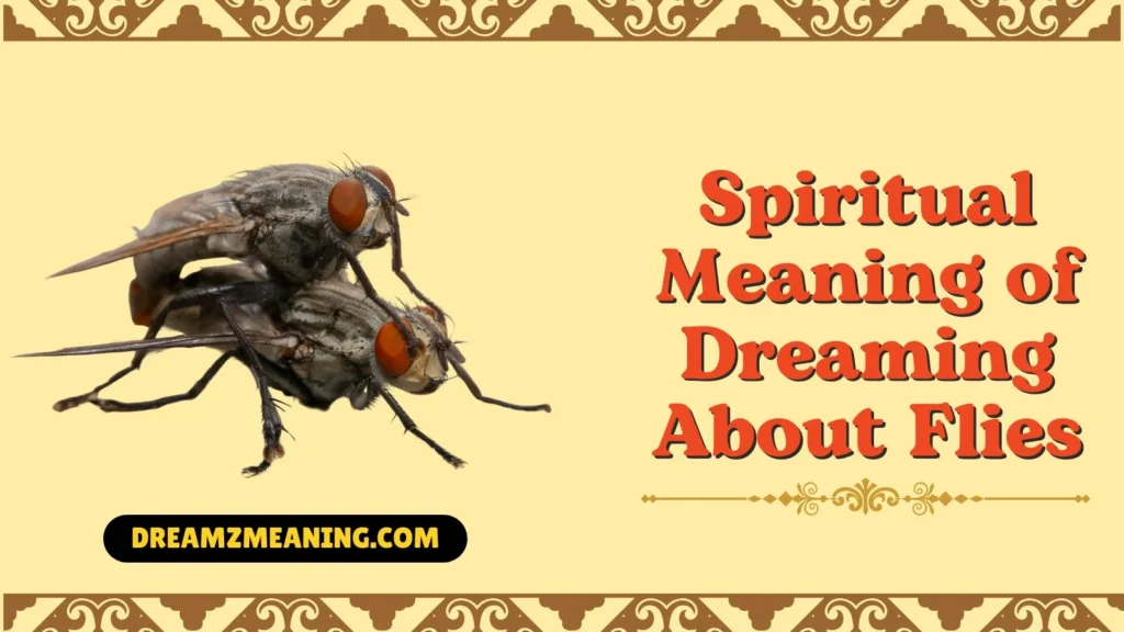 Spiritual Meaning of Dreaming About Flies