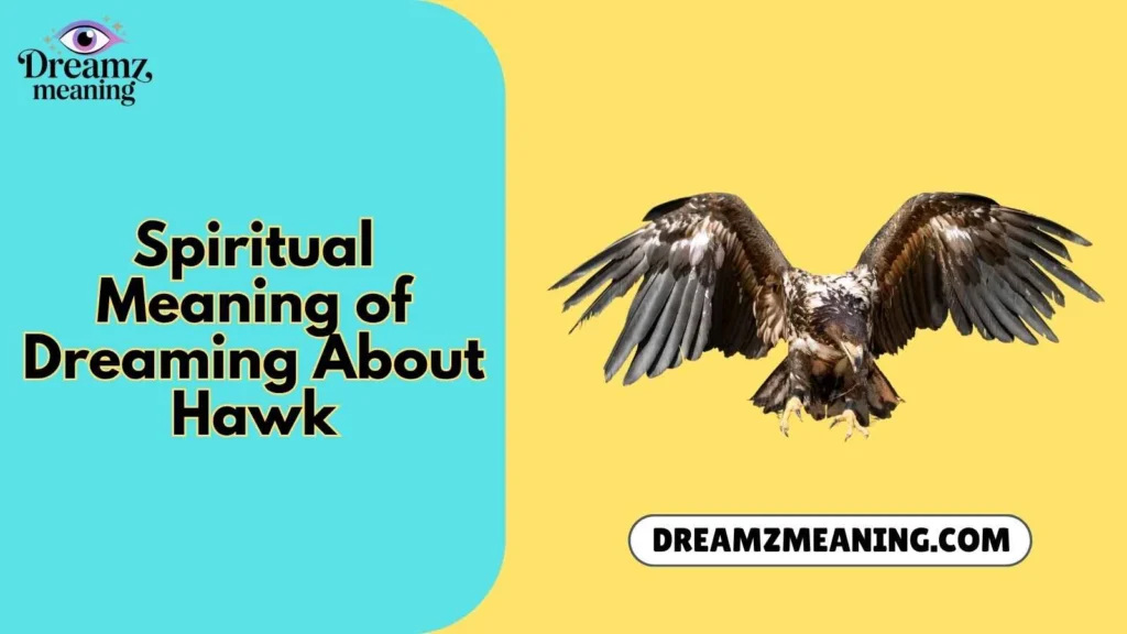 Spiritual Meaning of Dreaming About Hawk