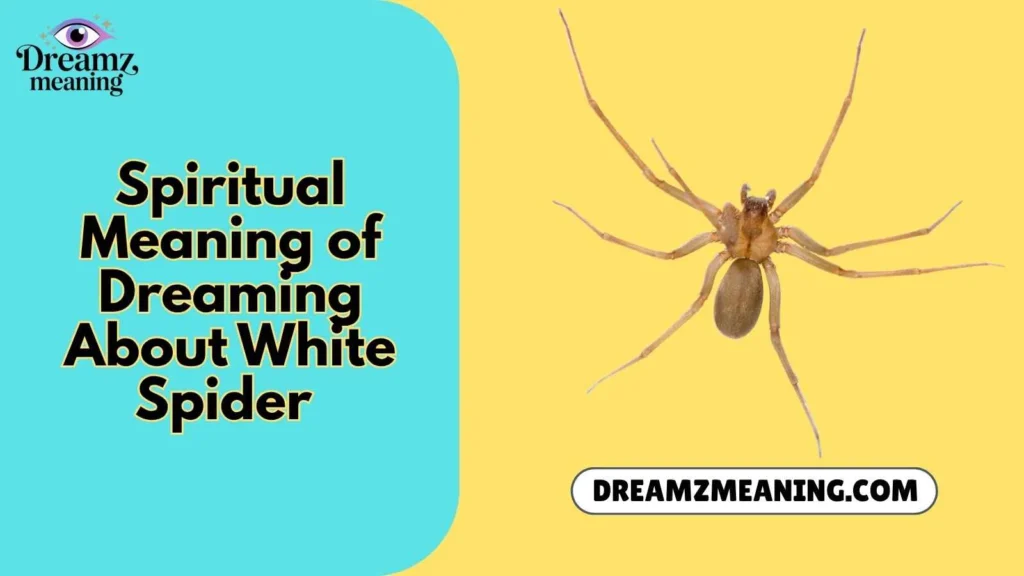 Spiritual Meaning of Dreaming About White Spider