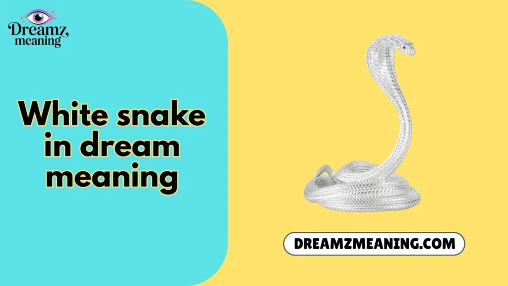 white snake in dream meaning