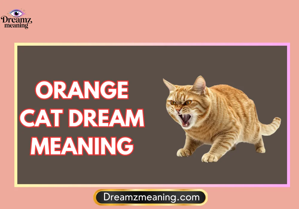 Aggressive Orange Cat Dream Meaning