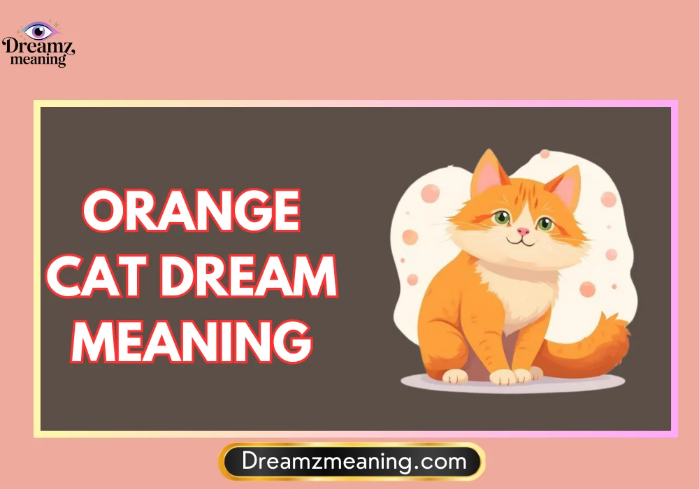 Biblical Meaning of Orange Cat Dreams