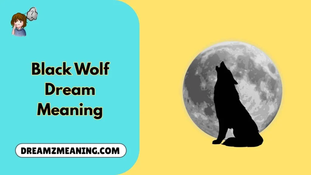Black Wolf Dream Meaning