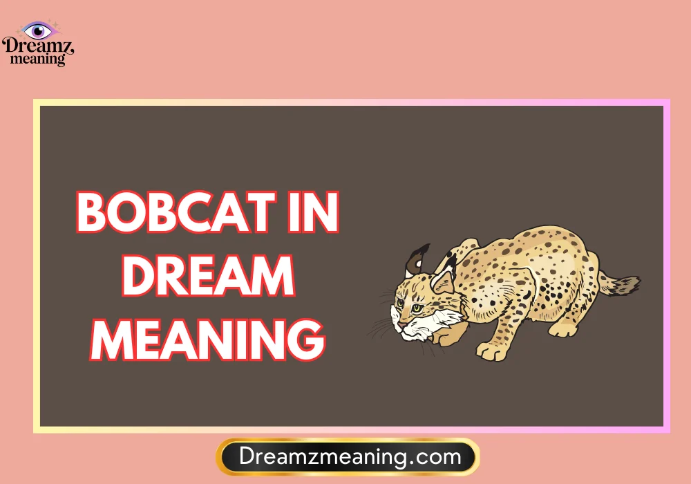 Bobcat Attack Dream Meaning
