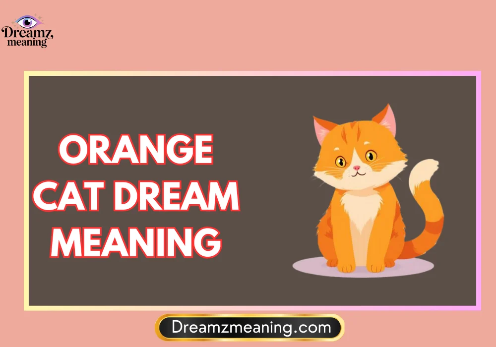 Dream of Orange Cat Attacking Me Meaning