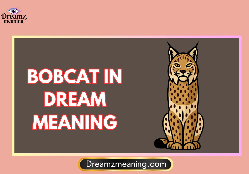General Meaning of a Bobcat in Dreams