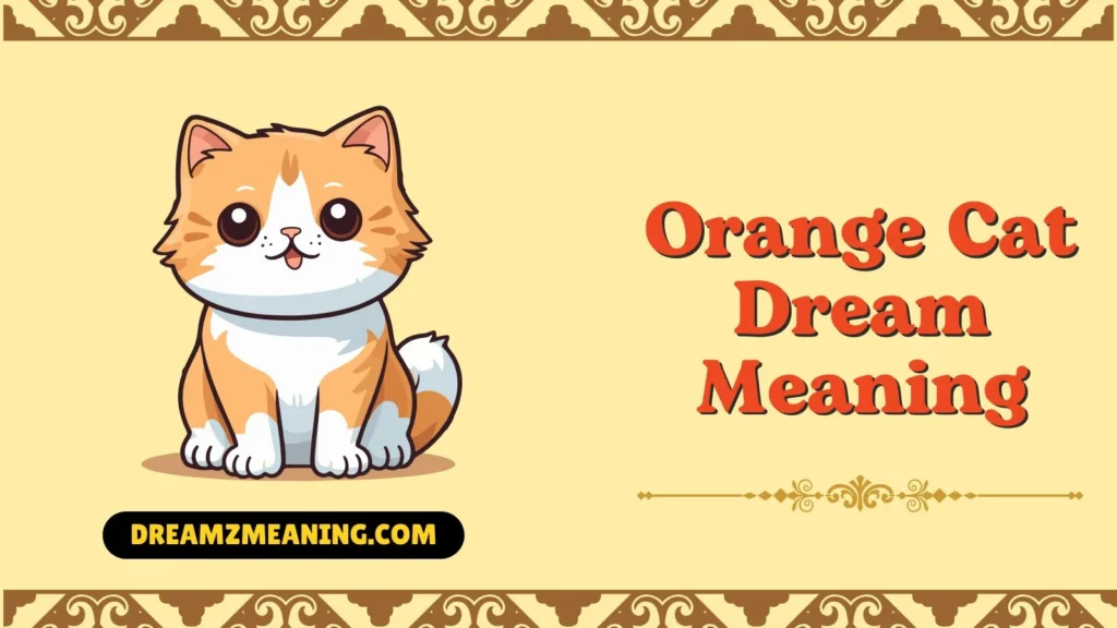 General Meaning of Orange Cat Dreams