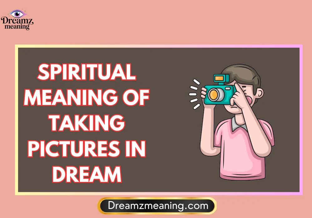 General Meaning of Taking Pictures in Dreams