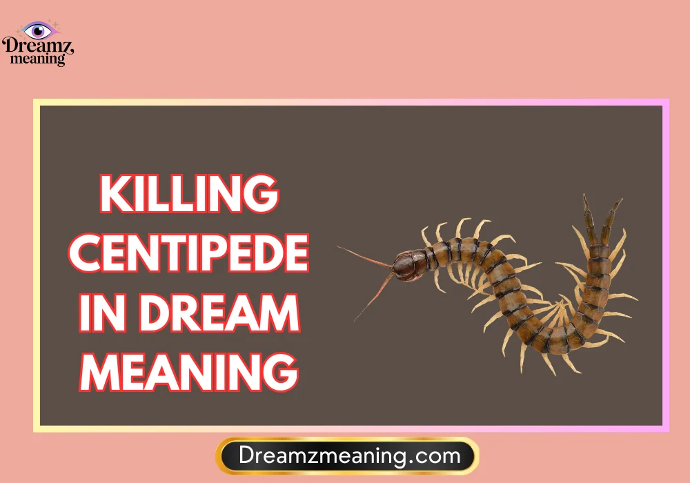 Killing Centipede in Dream Meaning in Islam