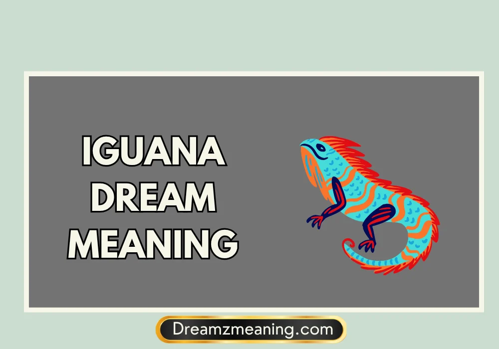 Red Iguana Dream Meaning