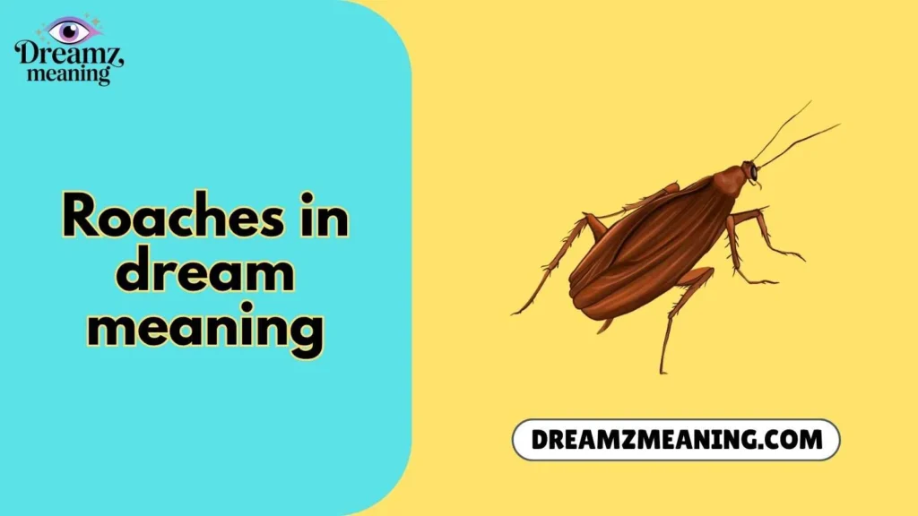 Roaches in Dream Meaning