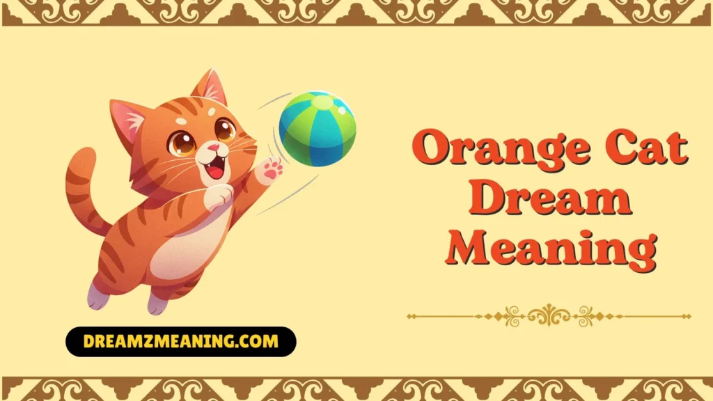 Seeing Cats in Dream Islamic Interpretation