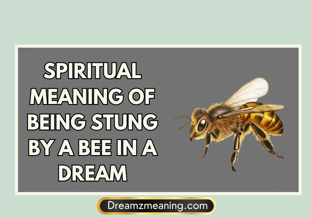 Spiritual Meaning of Being Stung by a Bee in a Dream