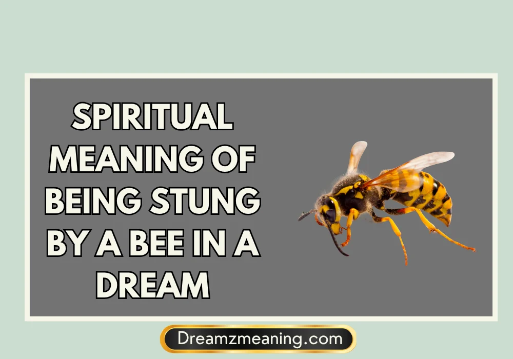 Spiritual Meaning of Being Stung by a Wasp