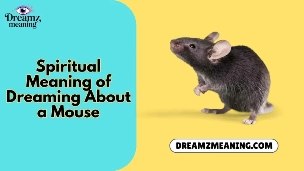 Spiritual Meaning of Dreaming About a Mouse