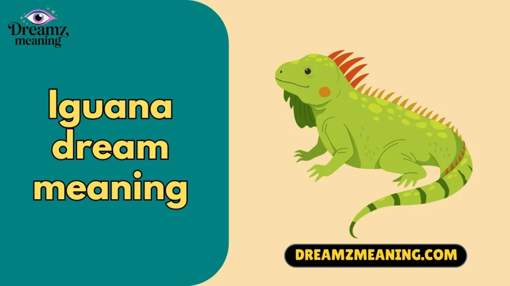 Spiritual Meaning of Iguana Dreams