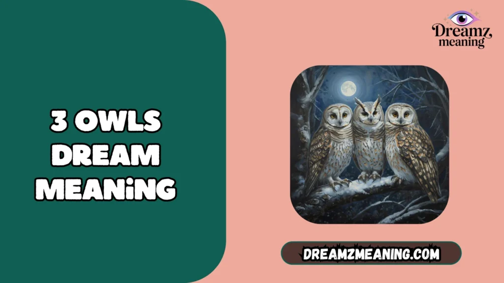 General Meaning of 3 Owls in a Dream