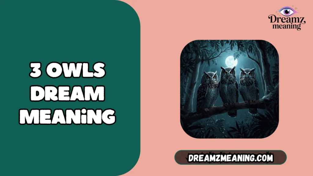 3 Owls Together Dream Meaning
