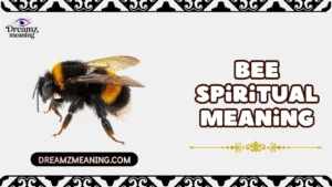 Bee Spiritual Meaning