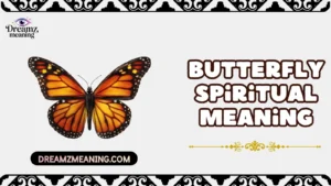 Butterfly Spiritual Meaning