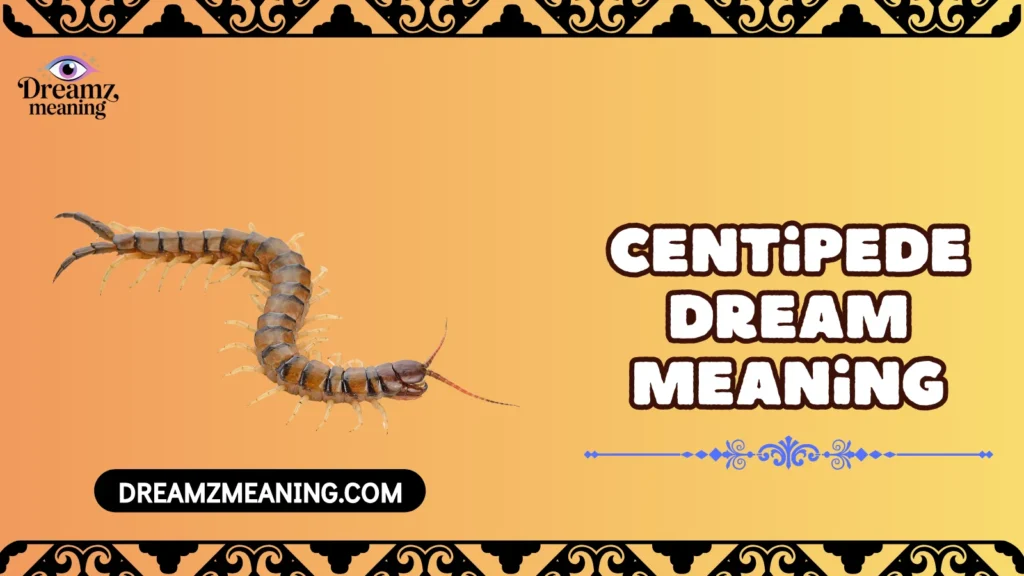 Centipede Dream Meaning