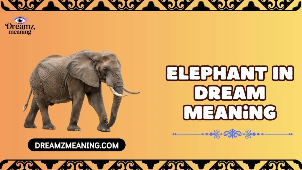Elephant In Dream Meaning