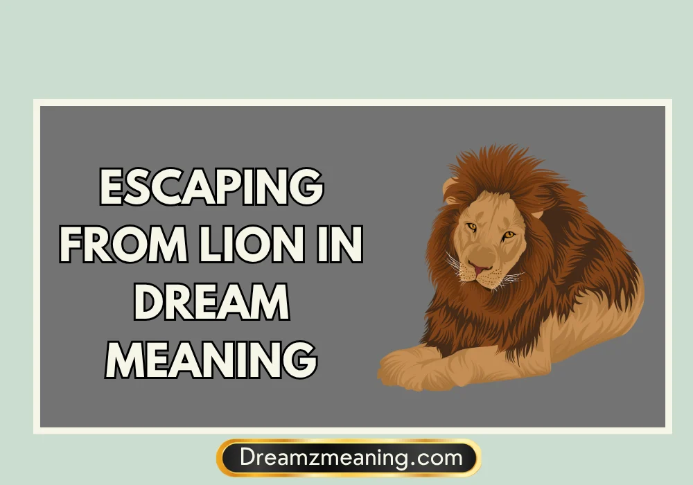 Escaping From Lion in Dream Meaning in Islam