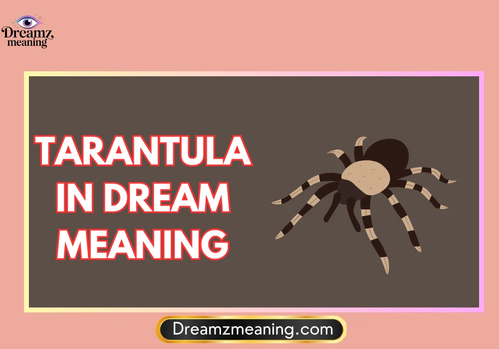 General Meaning of Tarantula in Dream