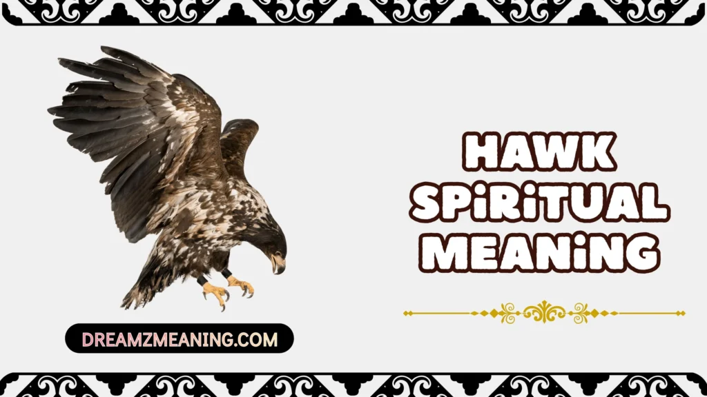 Hawk Spiritual Meaning