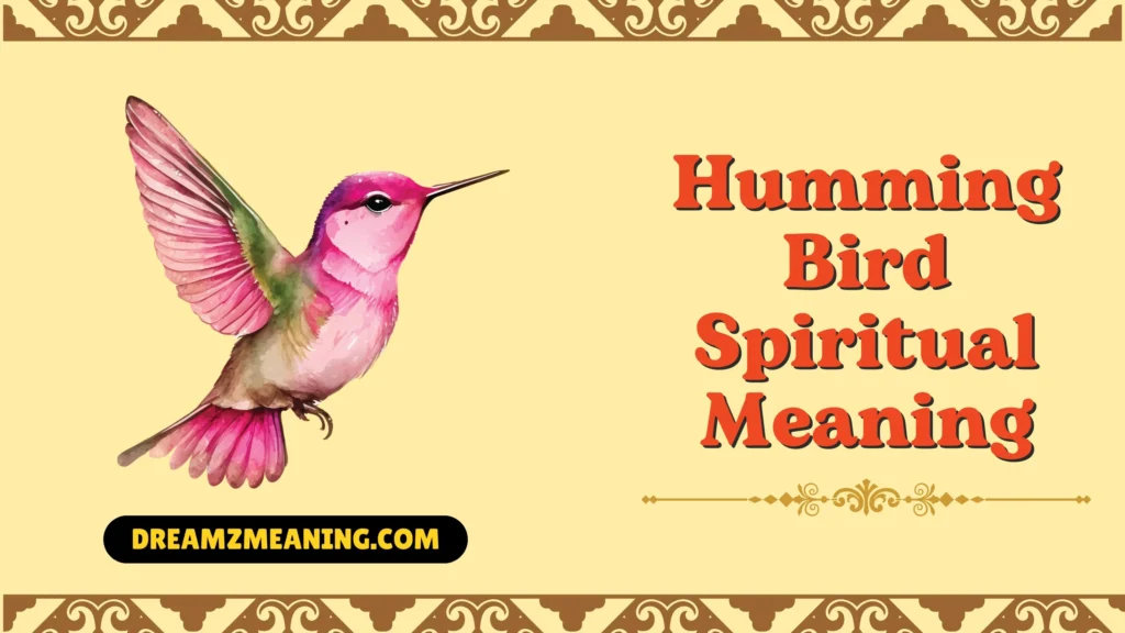 hummingbird spiritual meaning