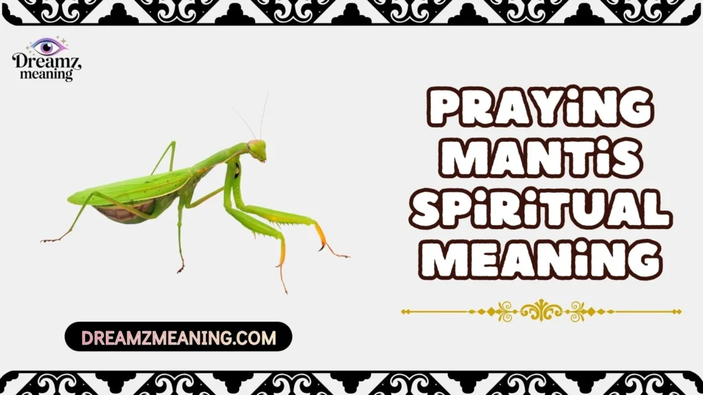 Praying Mantis Spiritual Meaning