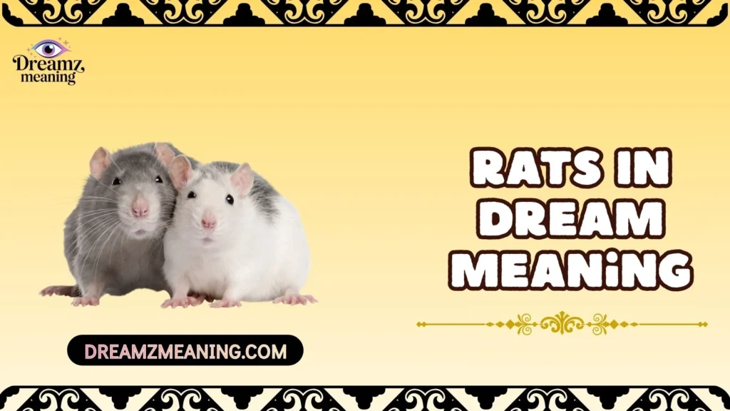Rats In Dream Meaning