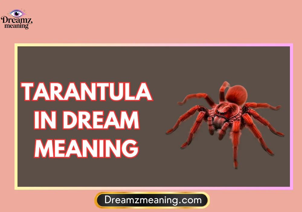 Red Tarantula in Dream Meaning