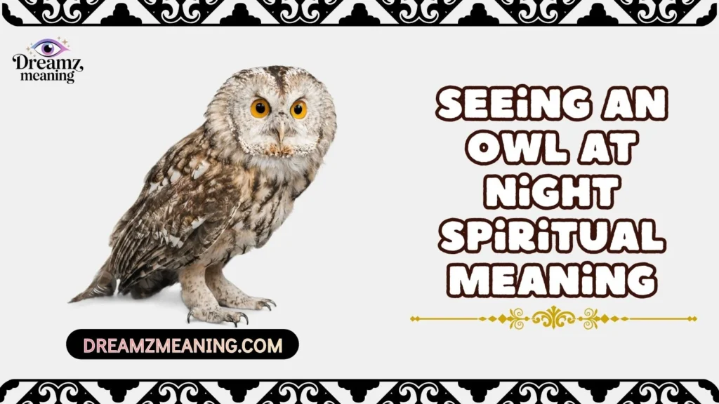 Seeing an Owl at Night Spiritual Meaning
