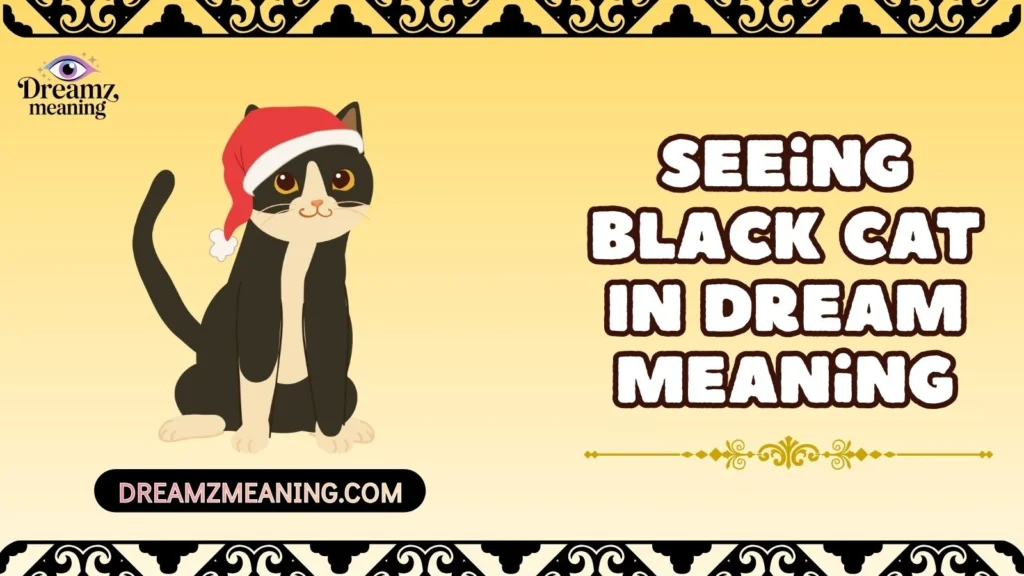Seeing Black Cat In Dream Meaning