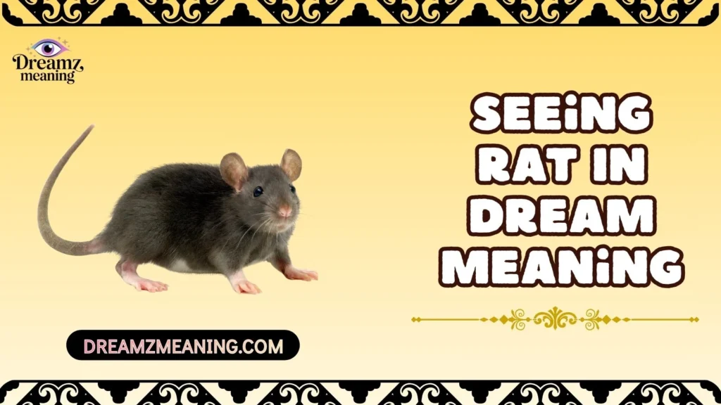 Seeing Rat In Dream Meaning