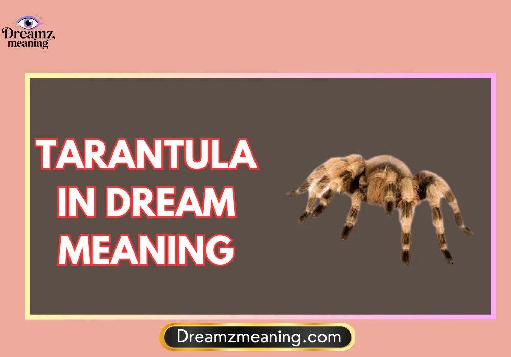 White Tarantula in Dream Meaning