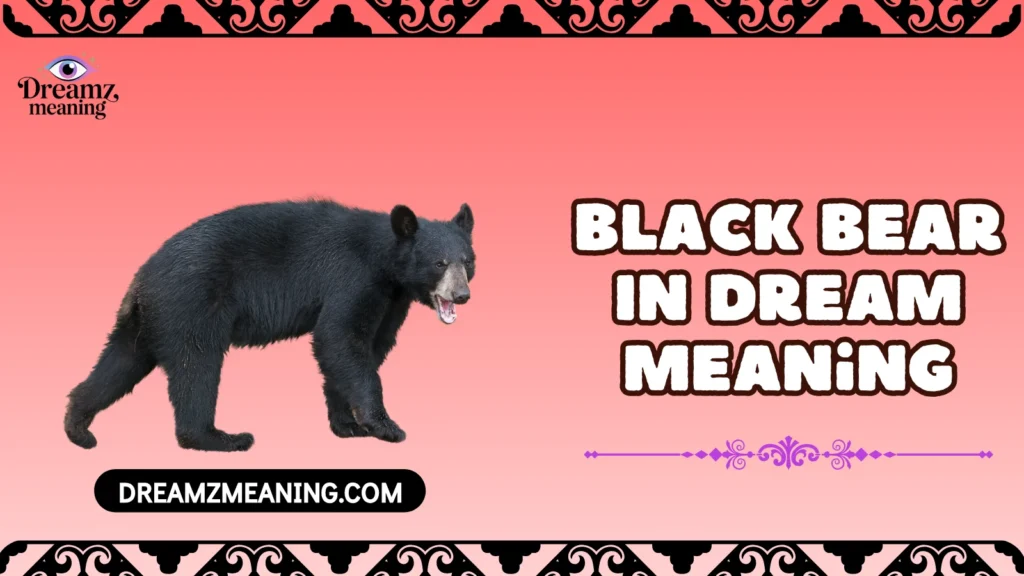 Black Bear In Dream Meaning