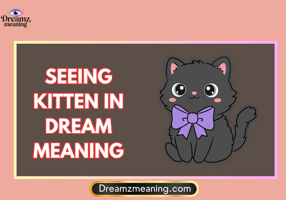 Black Kitten Dream Meaning
